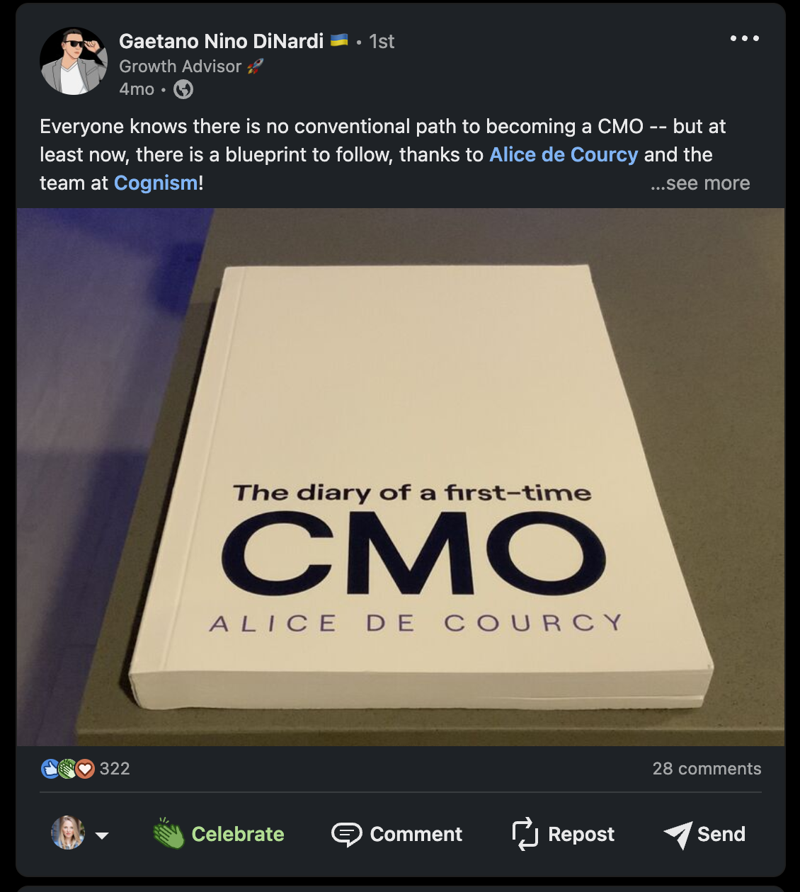 The Diary of a First-Time CMO book cover