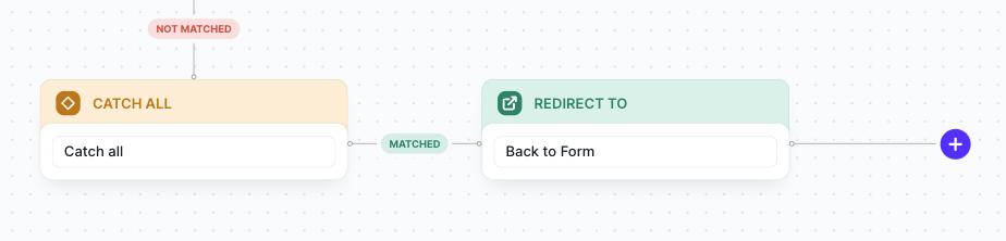 Catch All Redirect Example